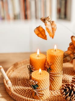 beeswax