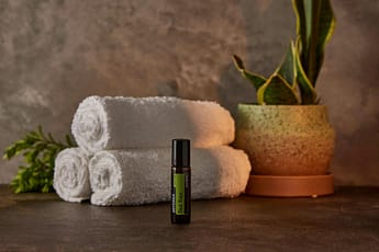 tea tree