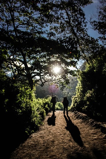 man walking in the forest