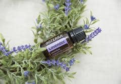 doterra lavender 1