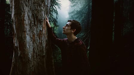 man looking at tree
