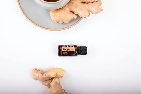 ginger download